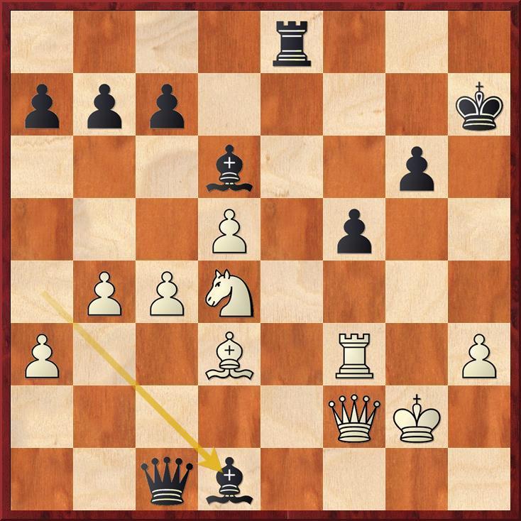 Spiel-Wolf-Caille
